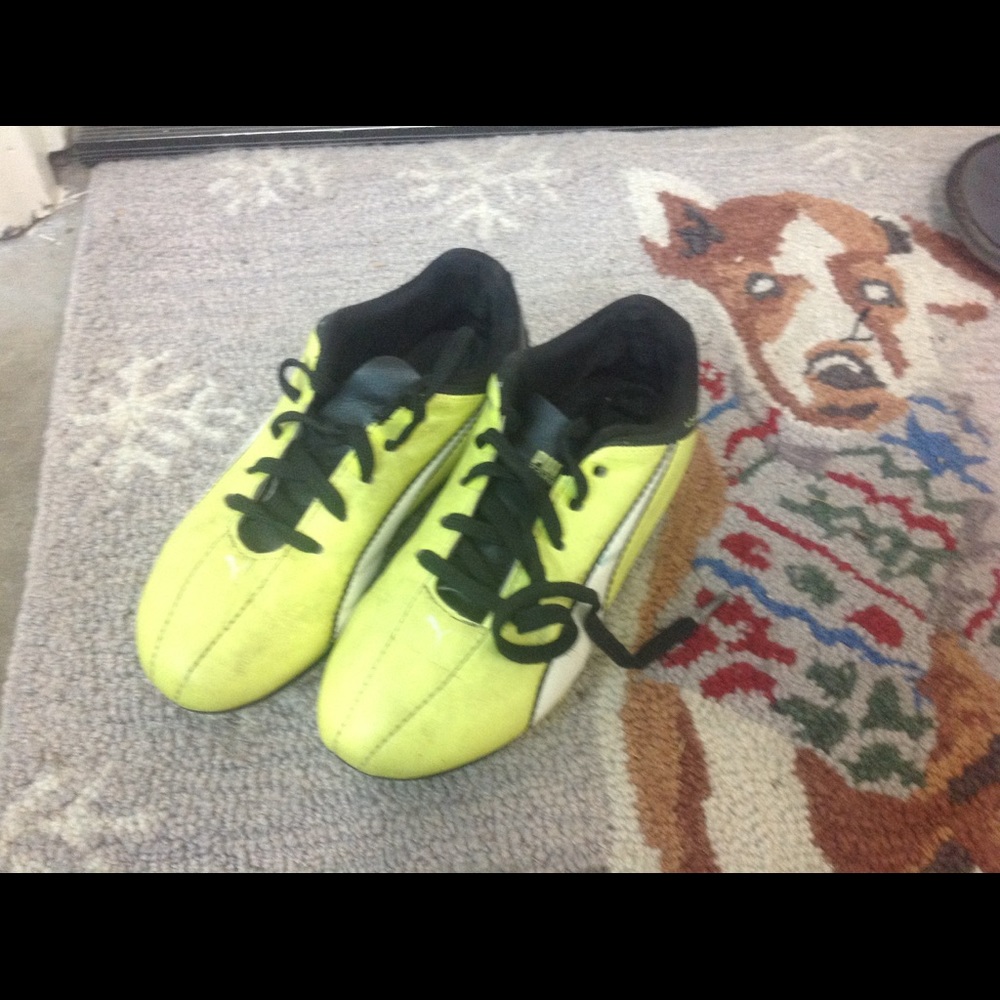 Puma